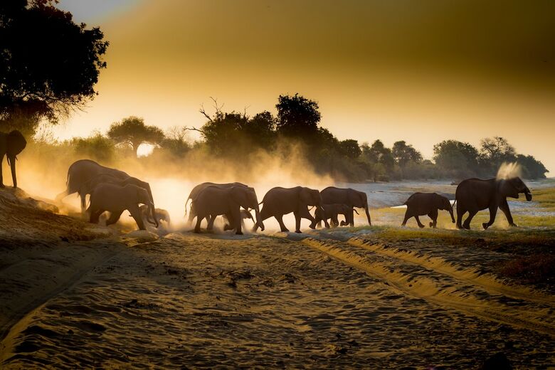 Boteti Tented Safari Lodge