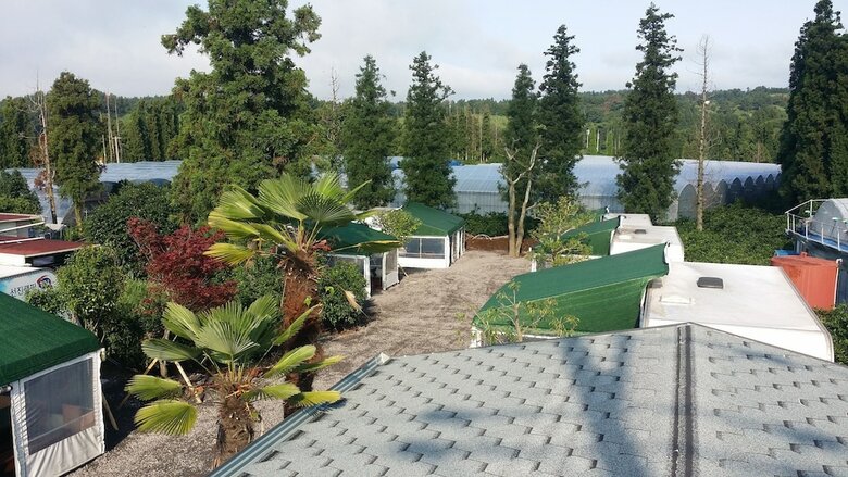 Pamping Jeju Caravan