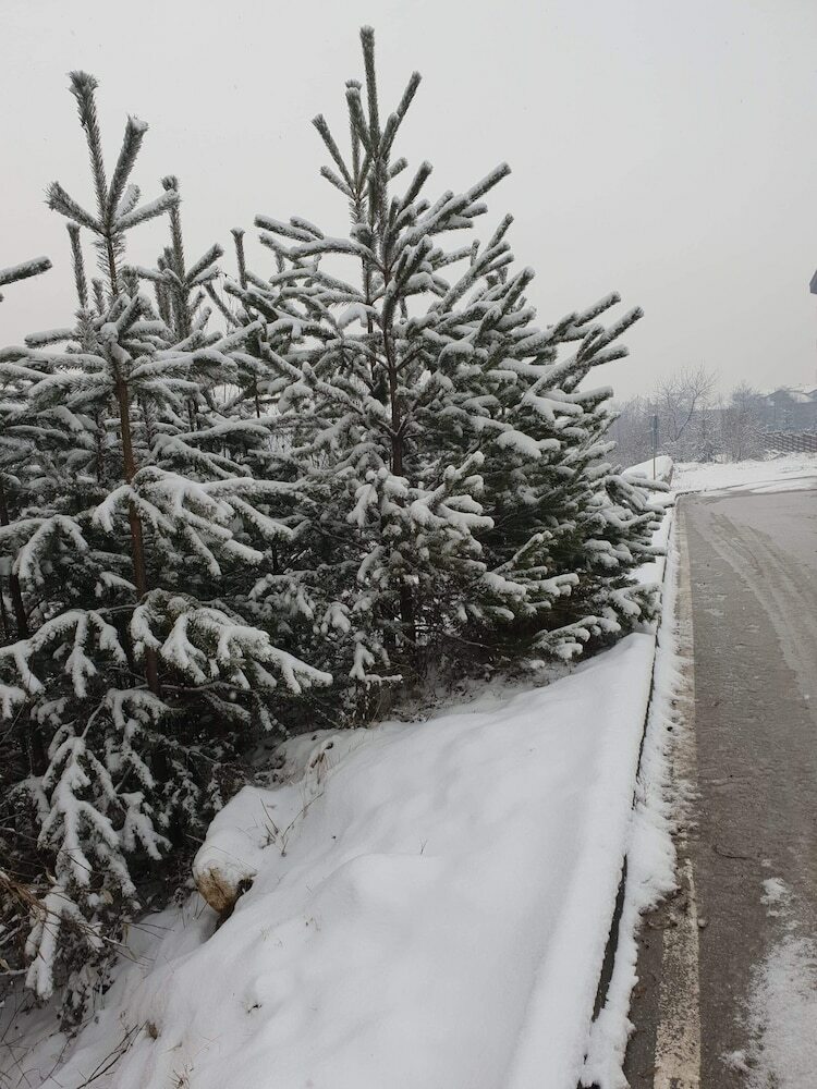 Royal Bansko Aparthotel 206d