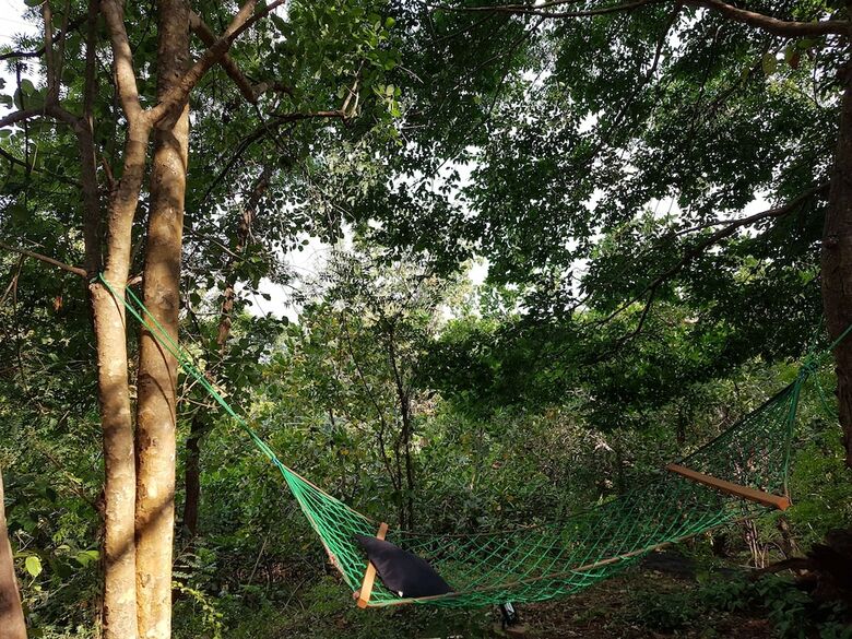 Hotel Green House Resort
