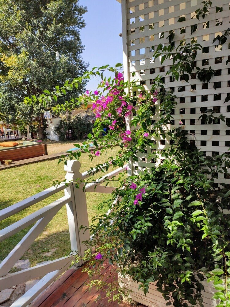 Hotel Lotus Restaurant & Home