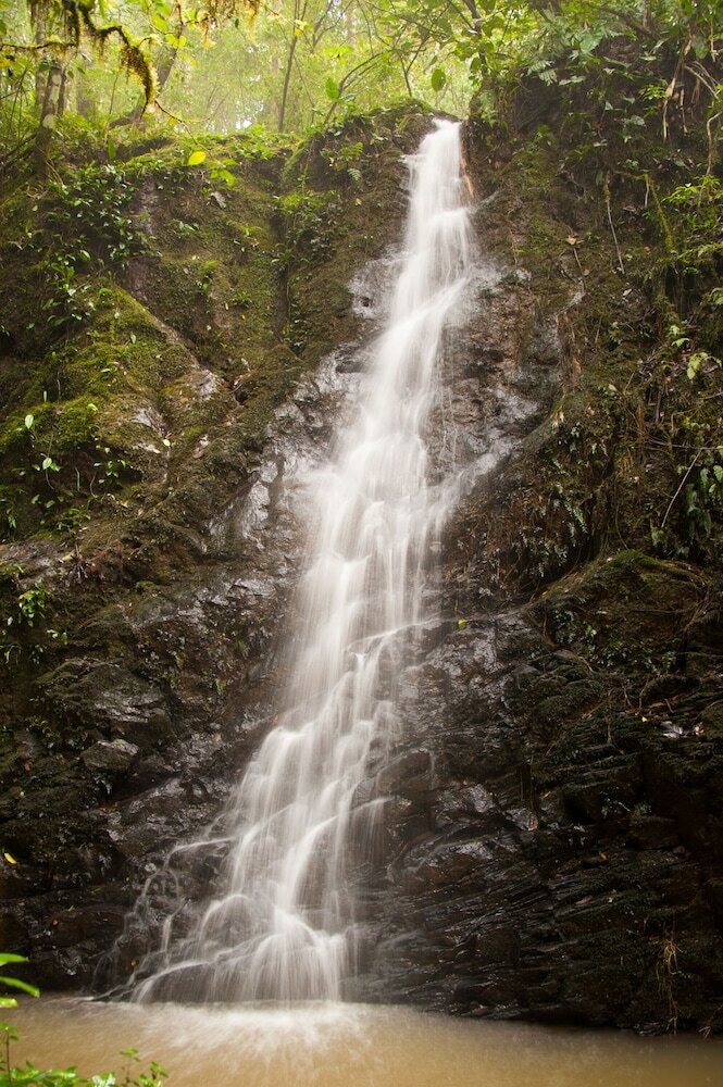 Posada Finca Esperanza Verde