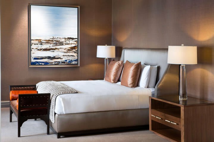 Hotel Fairmont Chicago