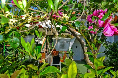 Bed & Breakfast Apartments And Rooms Anika