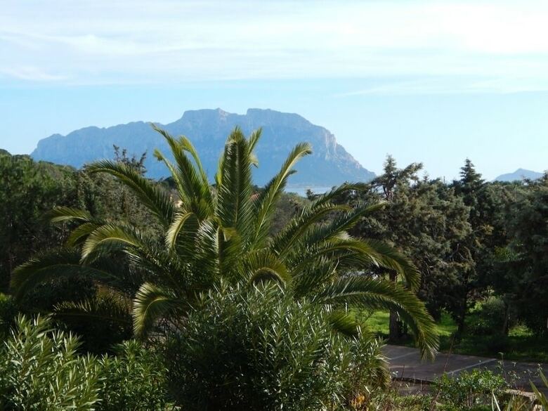Apartamento Trilo Bellavista 3