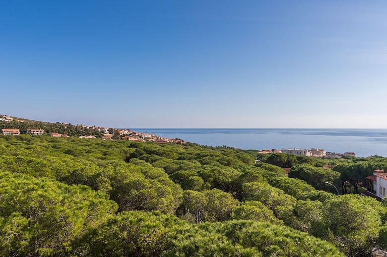 Apartamento Casa Pineta 1