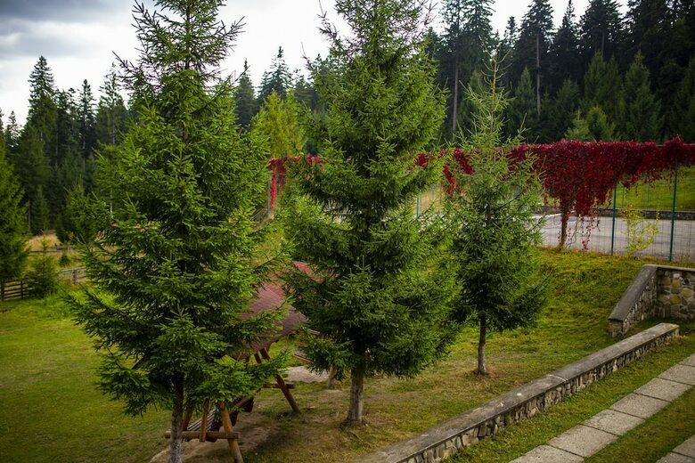 Hotel Floare de Colt Bucovina