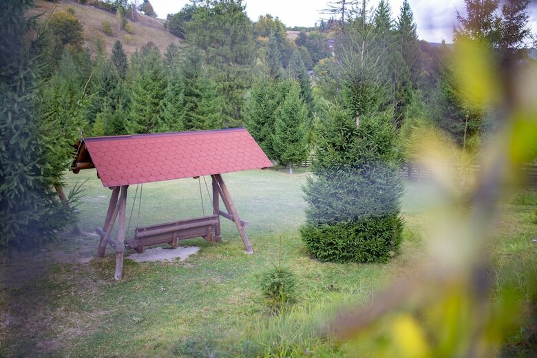 Hotel Floare de Colt Bucovina