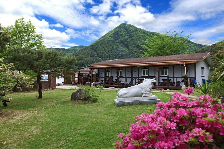 Pension Apple Farm Stay