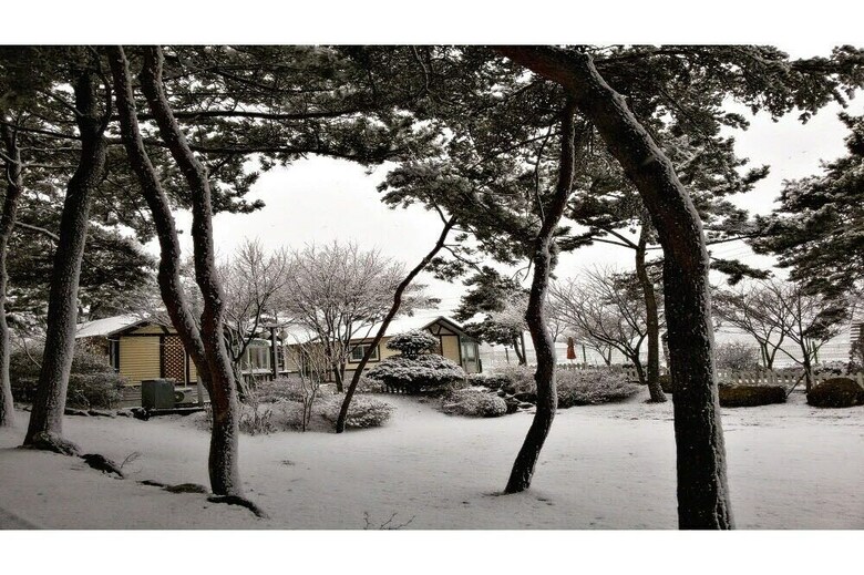 Mirim Pension