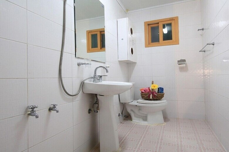 Pension Dodumir House