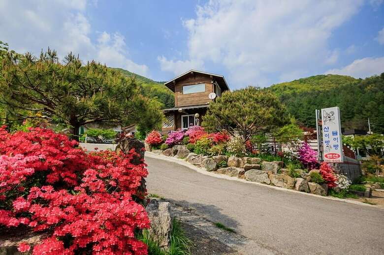 Mountain And Water Pension