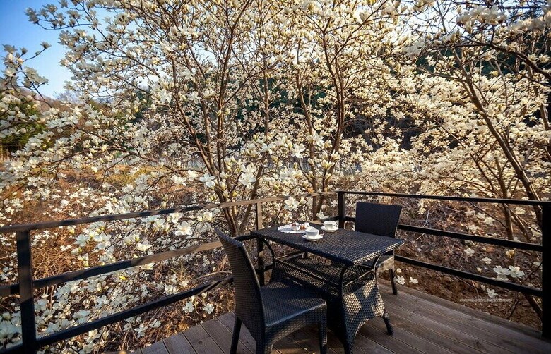 Apartamentos Harbor House Poolvilla Couple