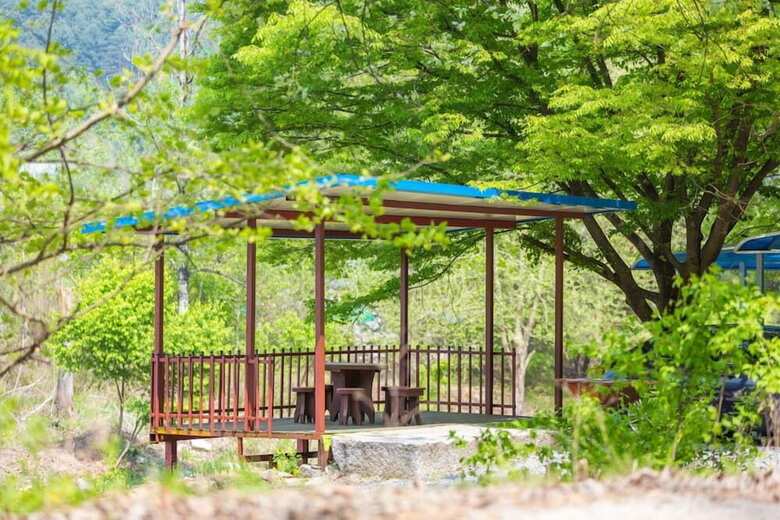 Green Pension