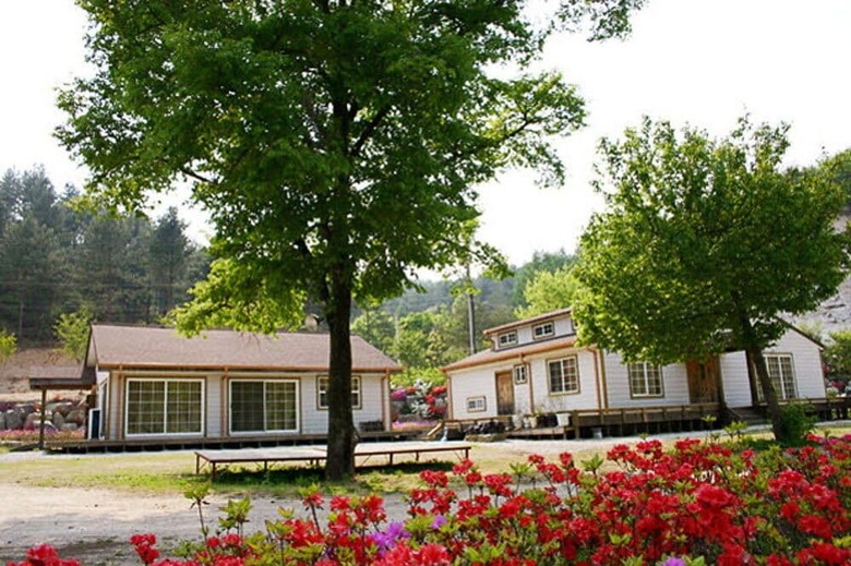 Pension Gold River Castle