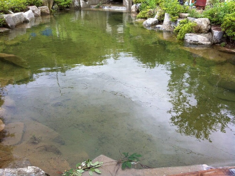 Pension Gold River Castle