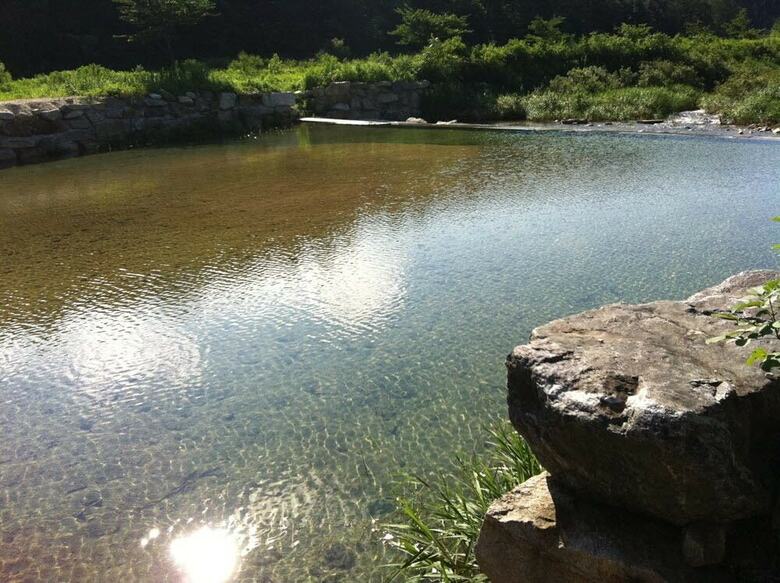 Pension Gold River Castle