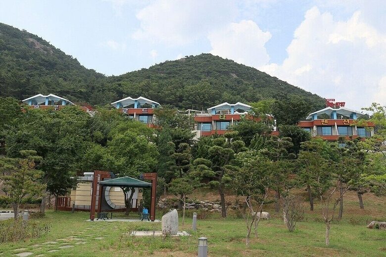 Nuri (Blue Road Town Pension