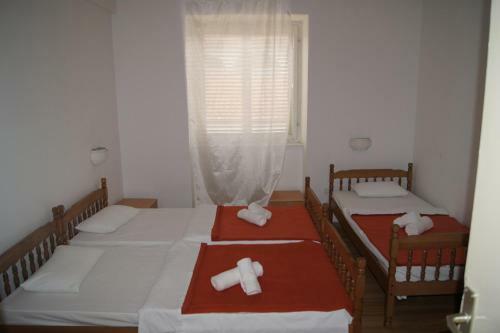 Hostel Diklo