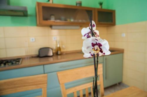 Apartamento Dino's Place