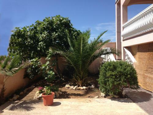 Apartments Bernarda