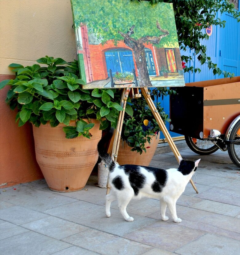 Bed & Breakfast L'hostalet