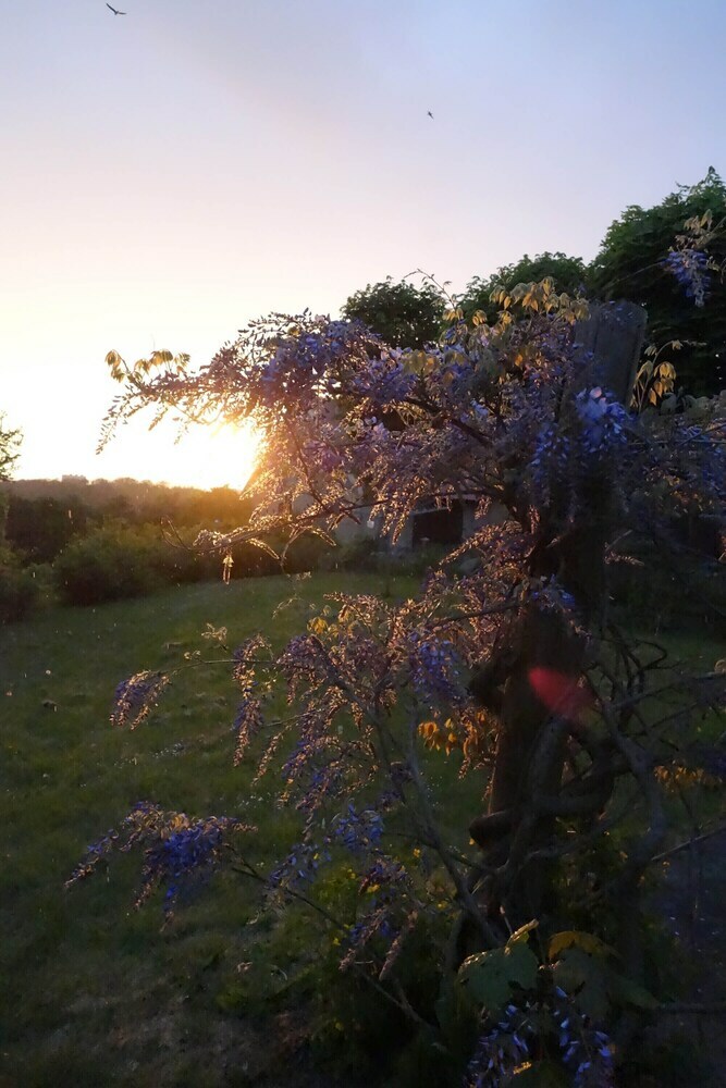 Bed & Breakfast Avalonhuset