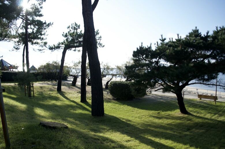 Apartamento Cosy Studio - Front de Mer - Moulleau