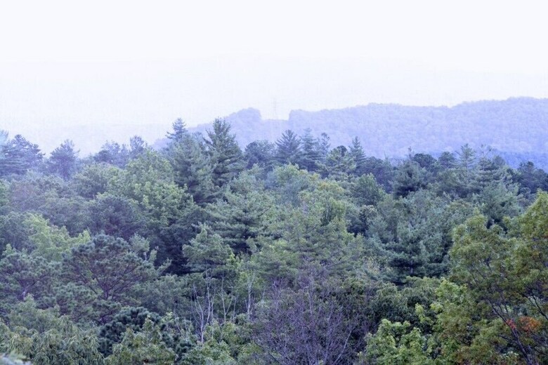 North Carolina Mountain Escape