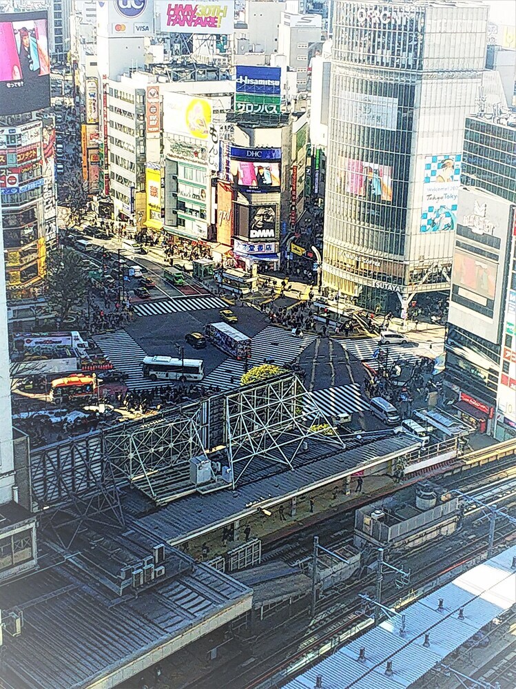 Apartment Near Shibuya Station (01)