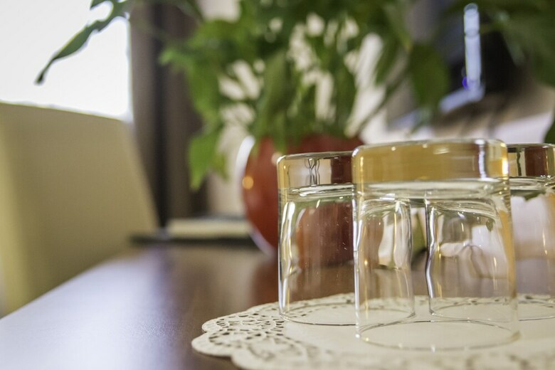 Hotel Guesthouse Vodnik