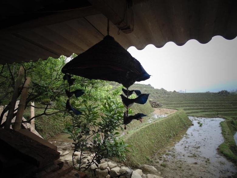 Hostal Hmong Sister House - Hostel