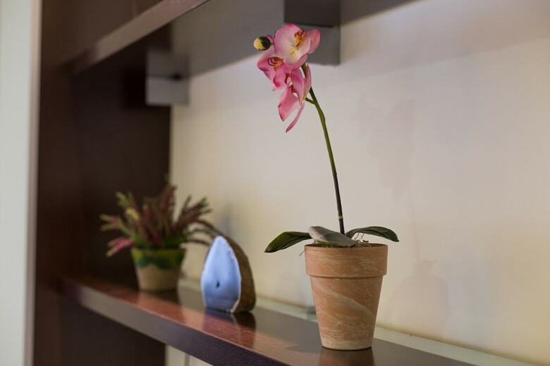 Apartamentos Sant Antoni - Marques