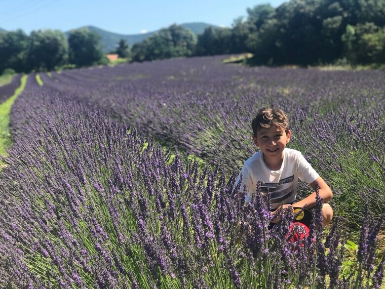 Fleur De Lez
