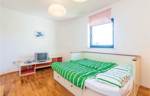Apartment Mali Dol IV
