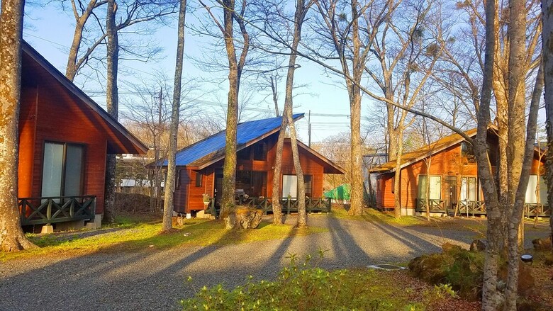 Forest Kitchen And Villa