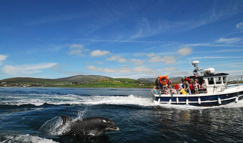 Apartamento Dingle Courtyard Cottages 3 Bed Sleeps 6