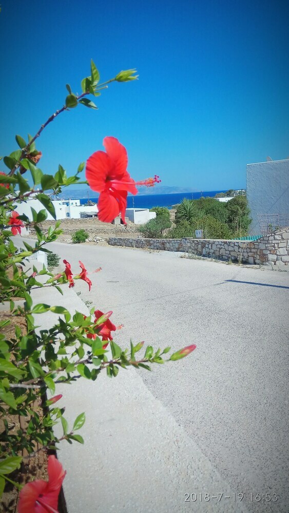 Aparthotel Nicos Studios & Apartments