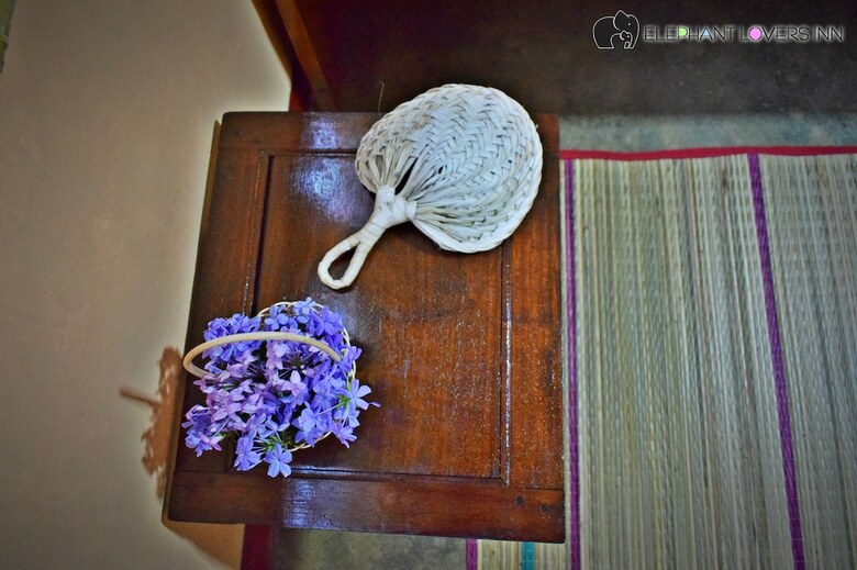 Hotel Elephant Lovers Inn