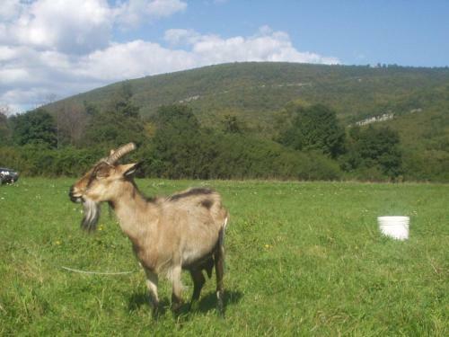 Hostal Rural Pension Istra Partner