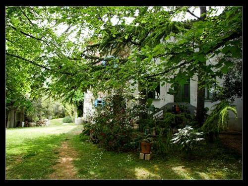 Holiday Home Botanica