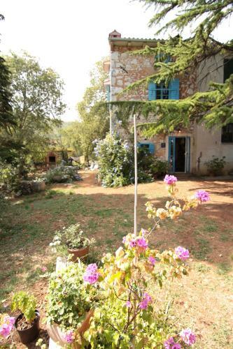 Holiday Home Botanica