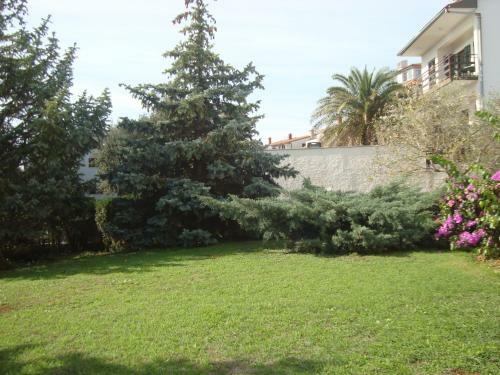 Apartments Villa Holiday