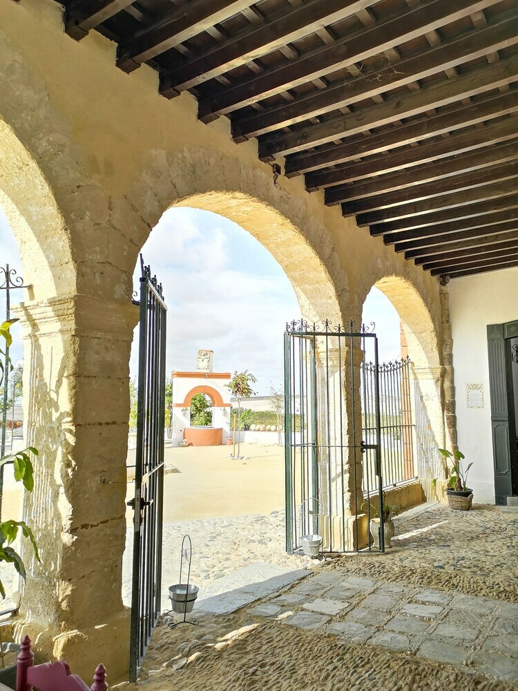 Bed & Breakfast La Bendita Locura