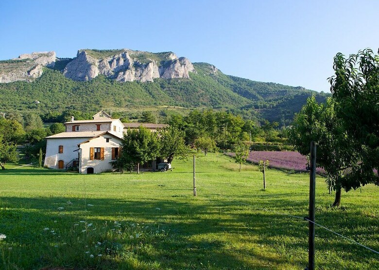 Maison Proven�ale Champs de Lavande