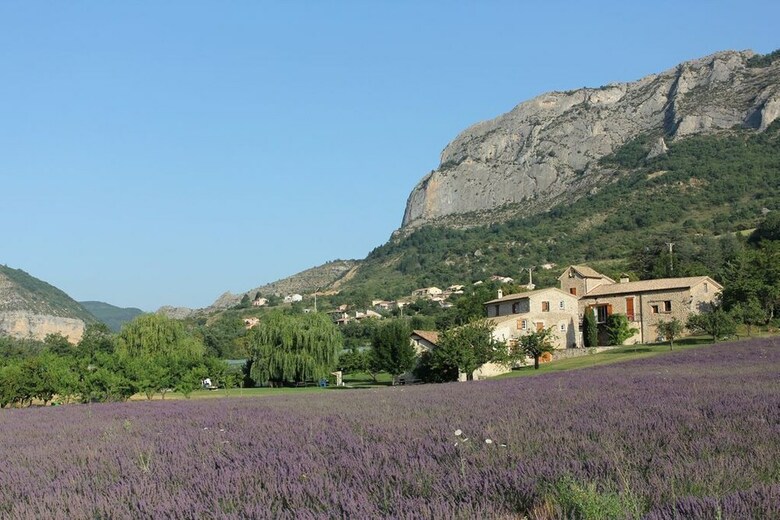 Maison Proven�ale Champs de Lavande
