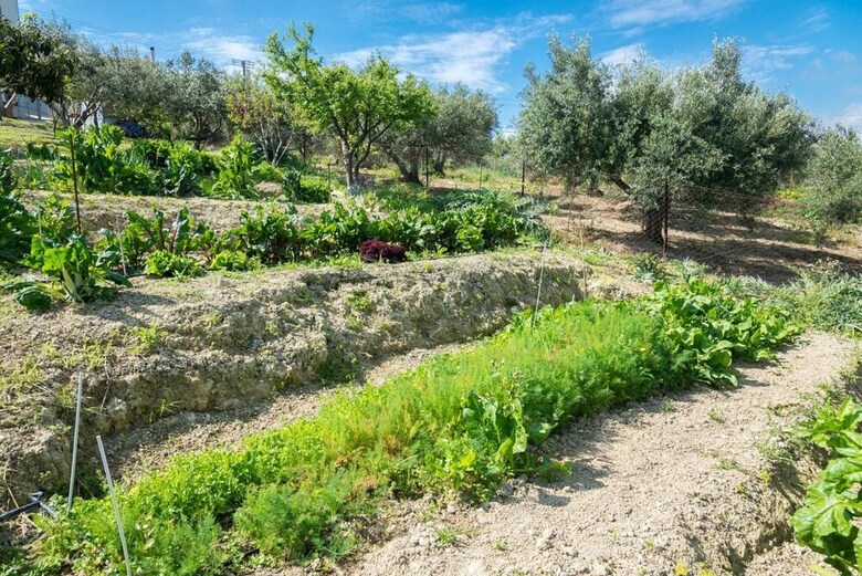Apartamento Muses: Panoramic View, Close To Historical Sites
