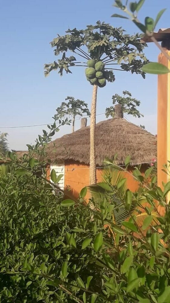 Hotel Campement Baobab