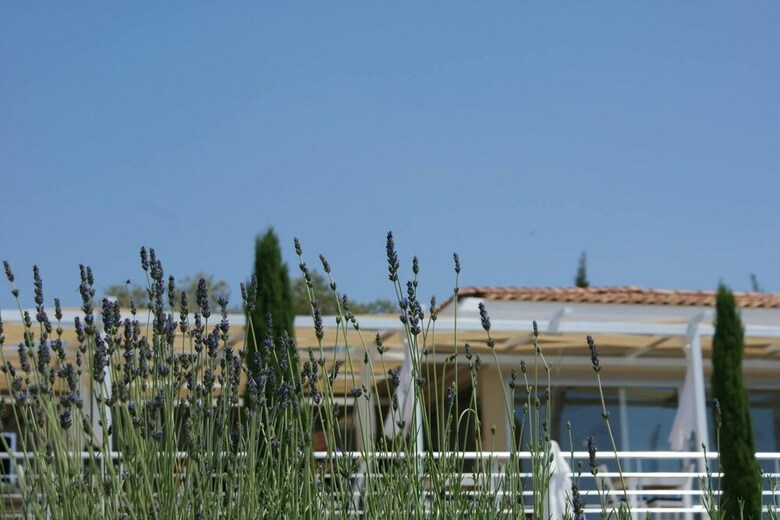 Villa Zeytin, Lavanta, Kalkan