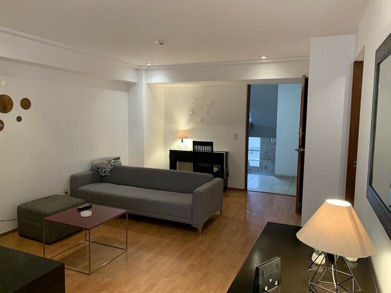 1br Clean & Big Apartment @polanco